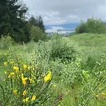 Urlaub Fuer Mensch Und Tier - Pirkhof