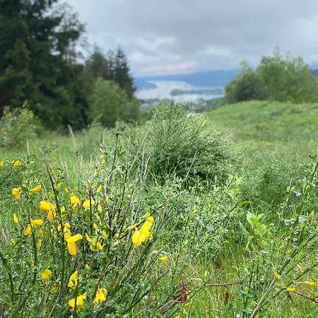 Urlaub Fuer Mensch Und Tier - Pirkhof