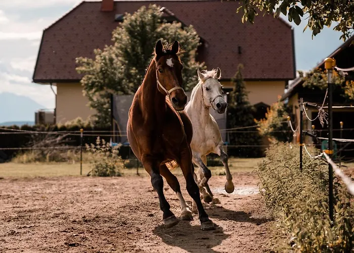 Urlaub Fuer Mensch Und Tier - Pirkhof