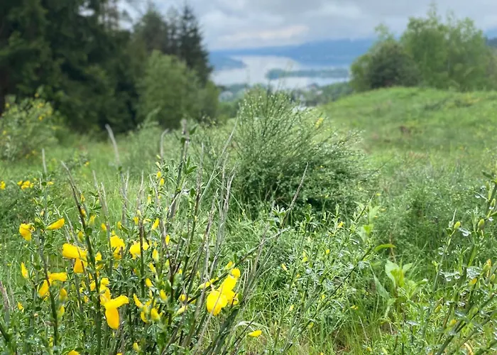 Urlaub Fuer Mensch Und Tier - Pirkhof